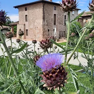 Corte Davini Agroturismo